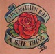 Various Artists: Ain't Nuthin' But a She Thing cover art